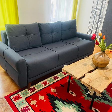 Spacious Stylish Apartment In Old Town Sibiu Buitenkant foto
