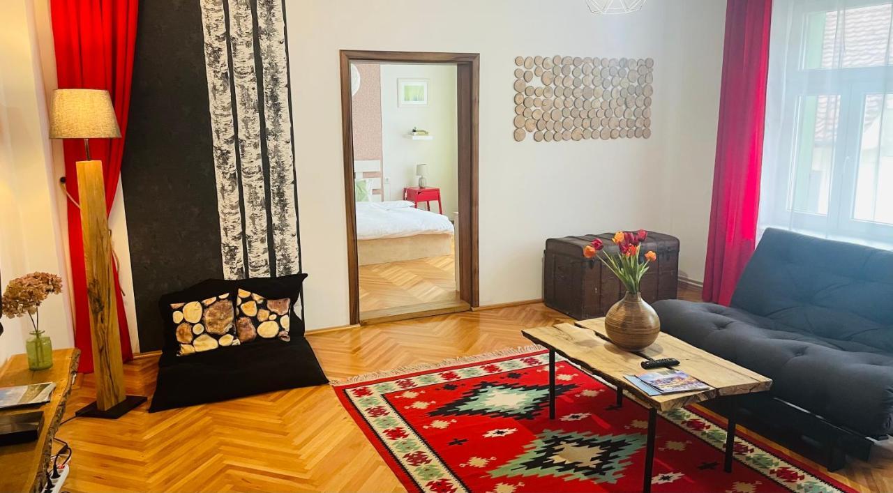 Spacious Stylish Apartment In Old Town Sibiu Buitenkant foto